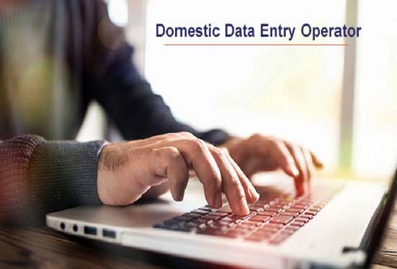 Certificate in Domestic Data Entry Operator